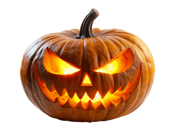 3D Orange Pumpkin Vegetables PNG