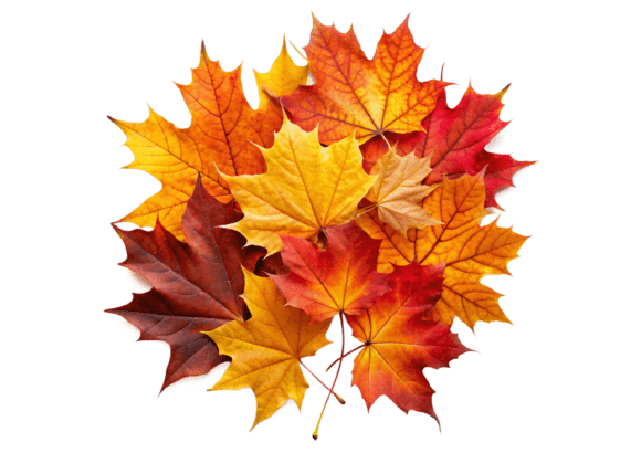 Watercolor Fall Leaf 3D Icon Embroidery Review